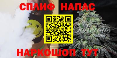 шишки Изобильный