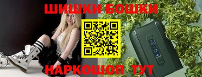 шишки Изобильный