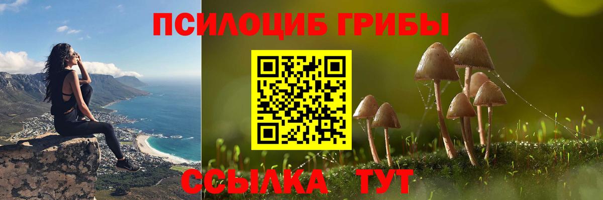 Кунгур  Галлюциногенные грибы Psilocybe  Псилоцибиновые грибы Psilocybe  Вход с VPN 